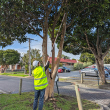 Load image into Gallery viewer, 10M Telescopic Scissors Pruning Branch Height Saw Garden Tools 10METERS